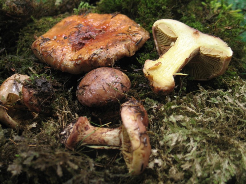 Cronaca di un sabato disgraziato